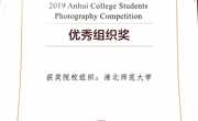beet365在2019年安徽省老员工摄影作品大赛中荣获“优秀组织奖”