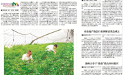 《淮北日报》报道淮师大beet365学子“推普助力乡村振兴”暑期社会实践活动